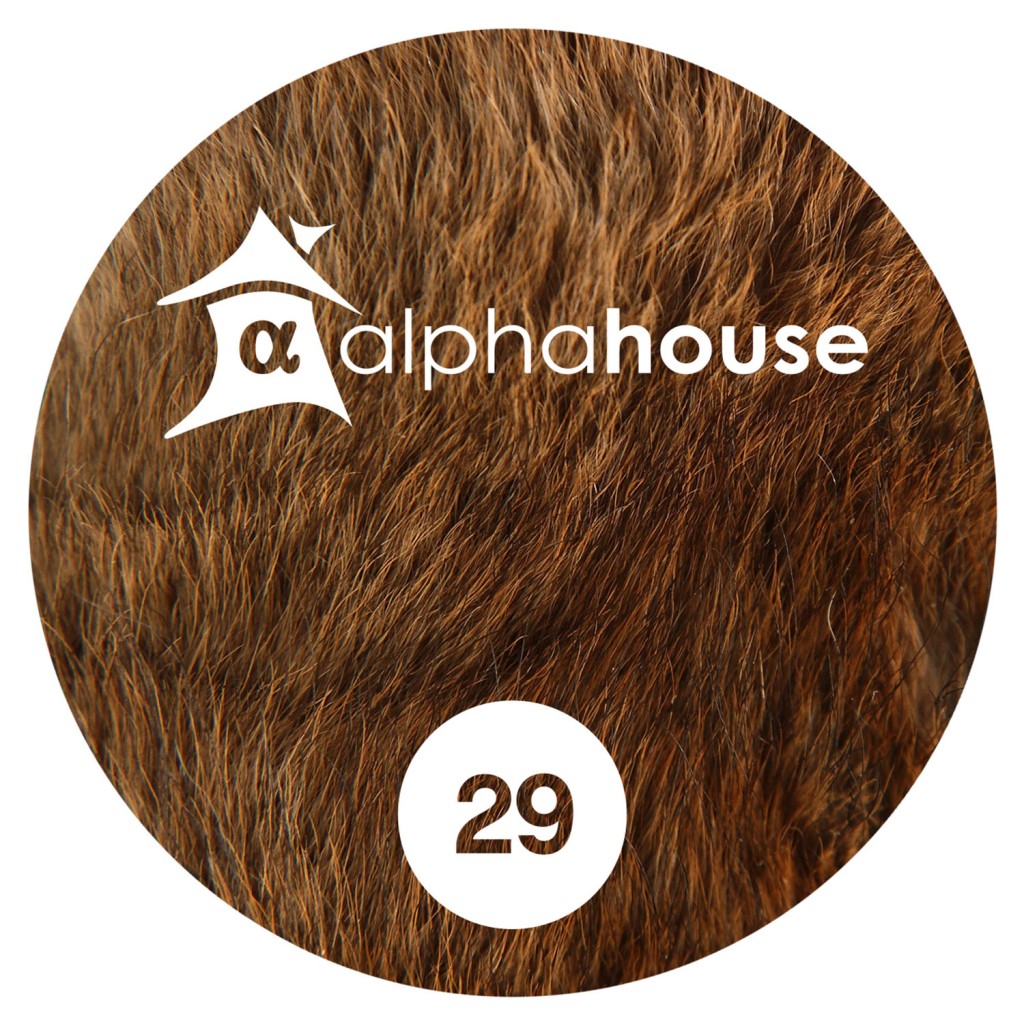 Alphahouse29B_1500x1500
