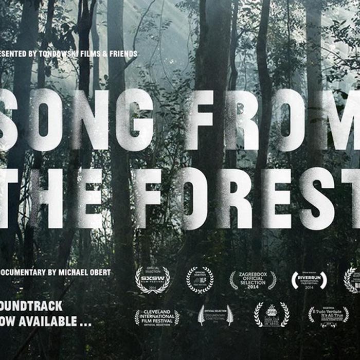 song from the forest