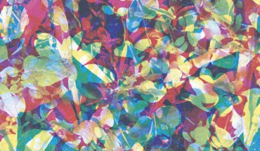 caribou-our-love