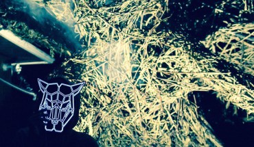 audio-reactive mask