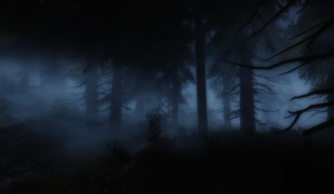 the_woods_at_night_by_glaceyandy-d8bd4tl