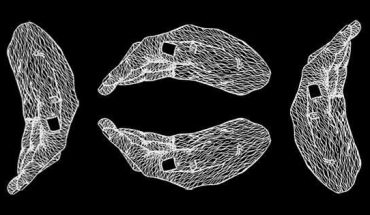 13754519_1297343296972547_6547025748177385222_n