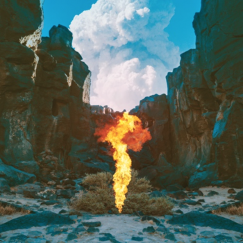 bonobo-migration-2