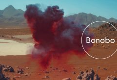 bonobo-samurai