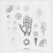 daktyl