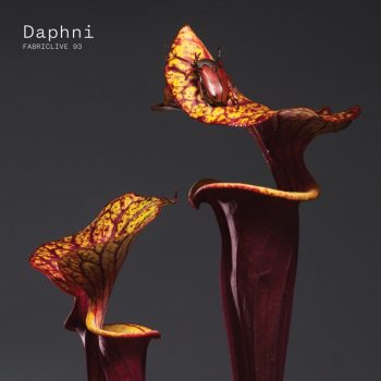 daphni-fabriclive93